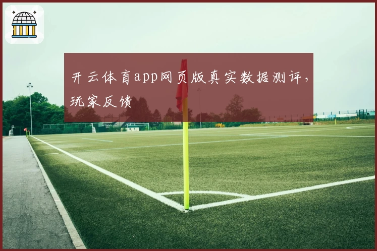 开云体育app网页版真实数据测评，玩家反馈