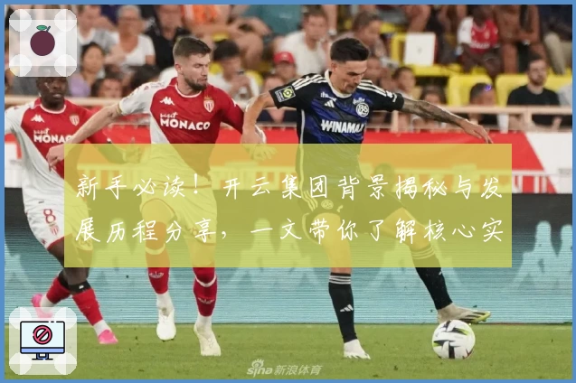 新手必读！开云集团背景揭秘与发展历程分享，一文带你了解核心实力